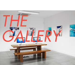 Theme PHOTOGRAPHY COMPETITION CONTEST LIFE FRAMER