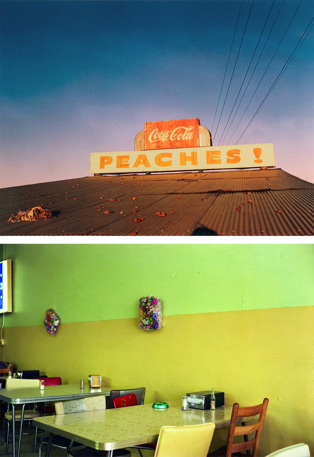 Life-Framer-Journal-William-Eggleston