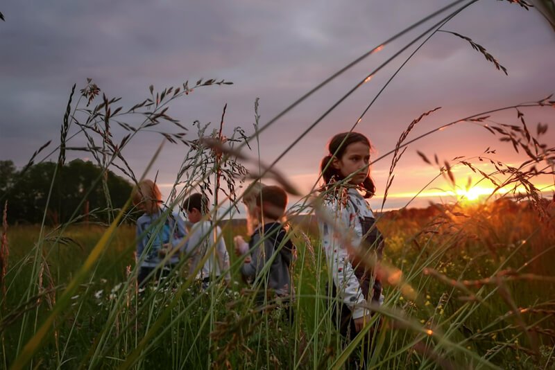 Image showing five chidren in a meadow at dusk. Four children are in the background and one is in the foreground. The children are slighly obscured by the long grass growing in the meadow