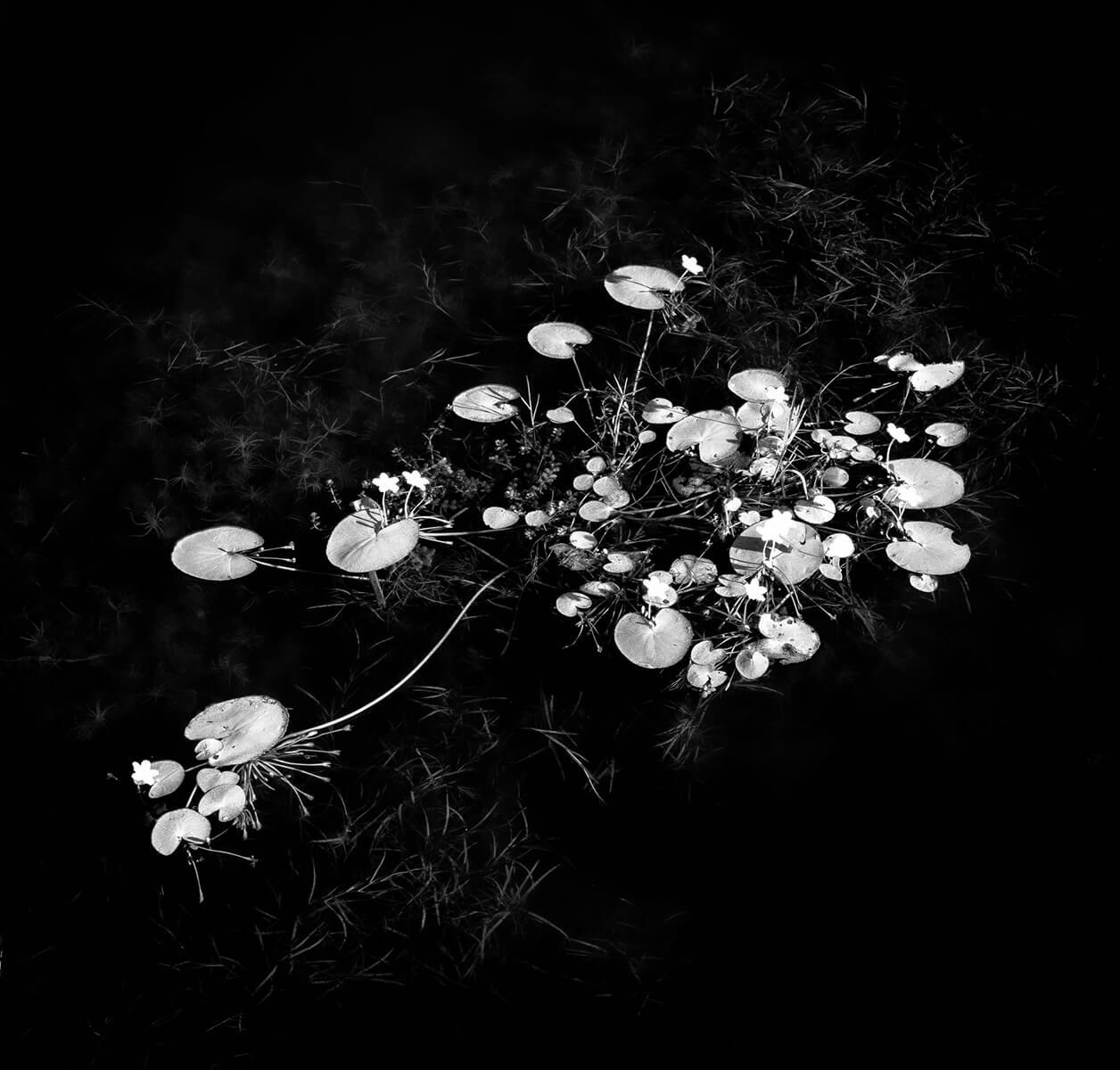 Life-Framer-Black-White-CarlosMornelli