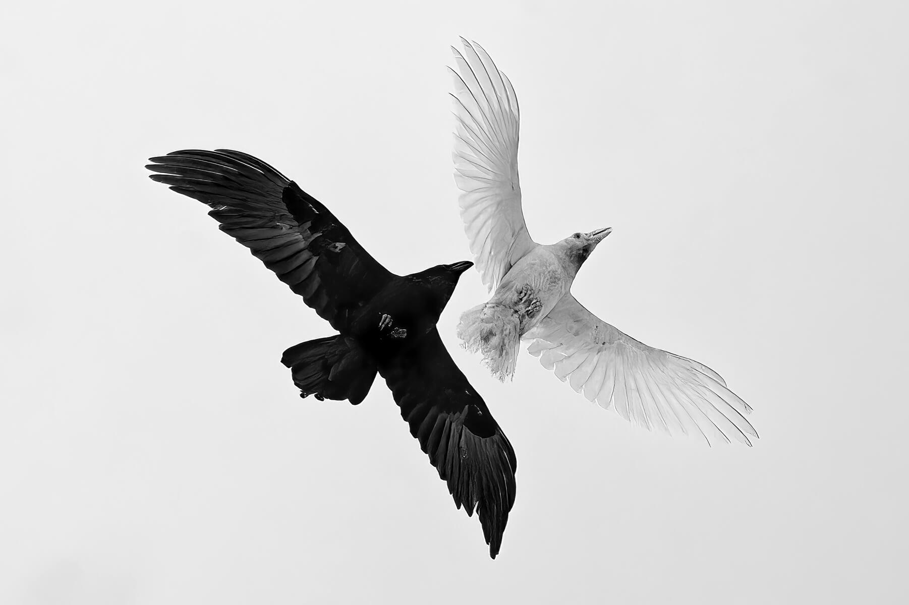Life-Framer-Black-White-MichelleHanson