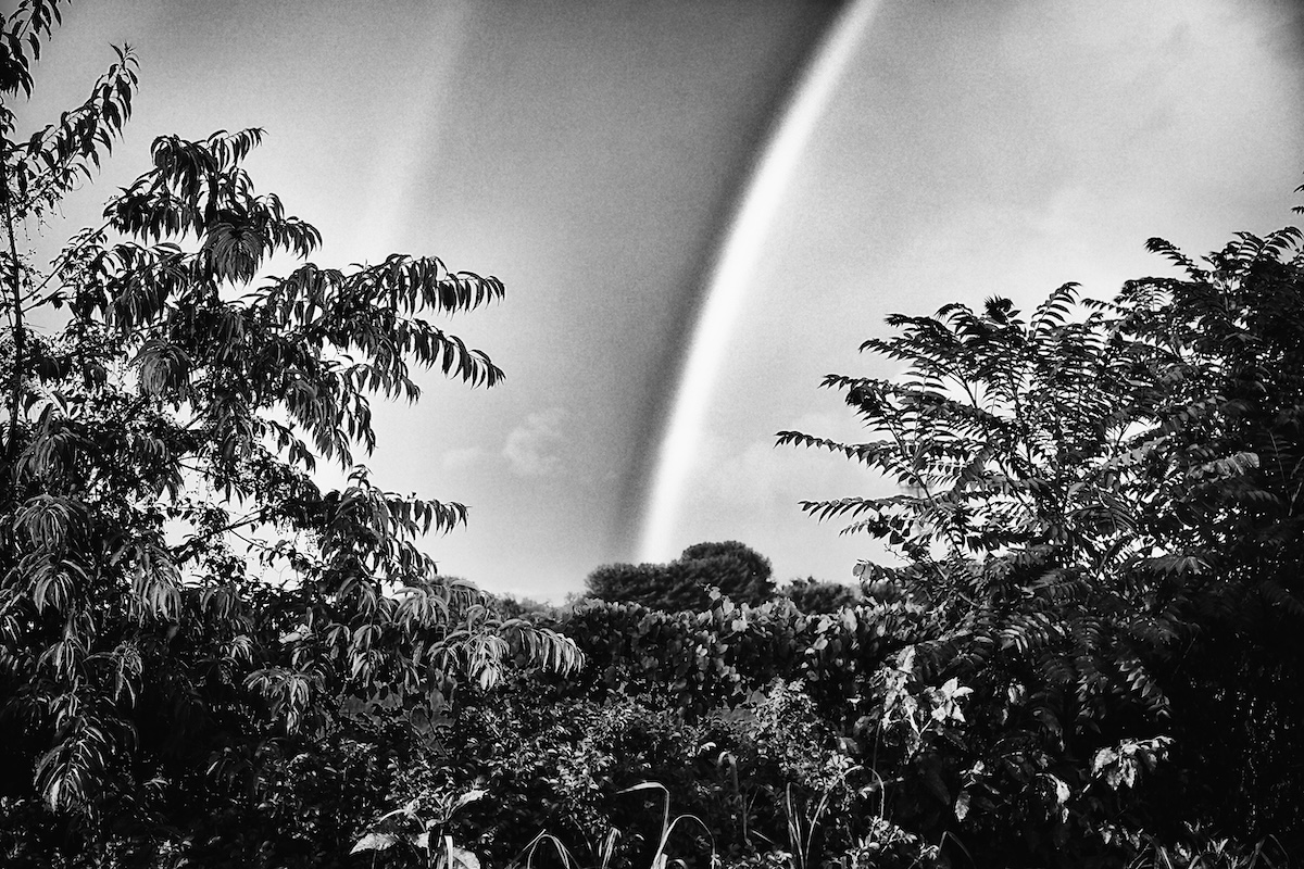 233626-Planet Earth1-ArgusPaulEstabrook