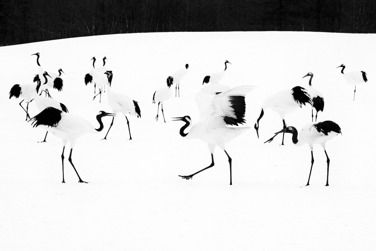 234247-Planet Earth1-FredericMouchet