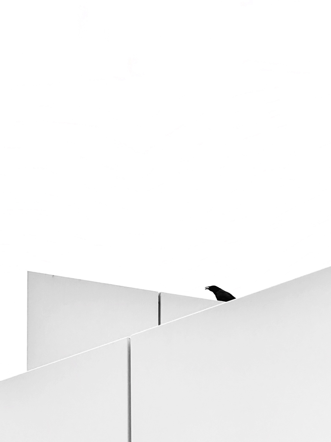 242721-Animal Kingdom8-JordiOriolSerra