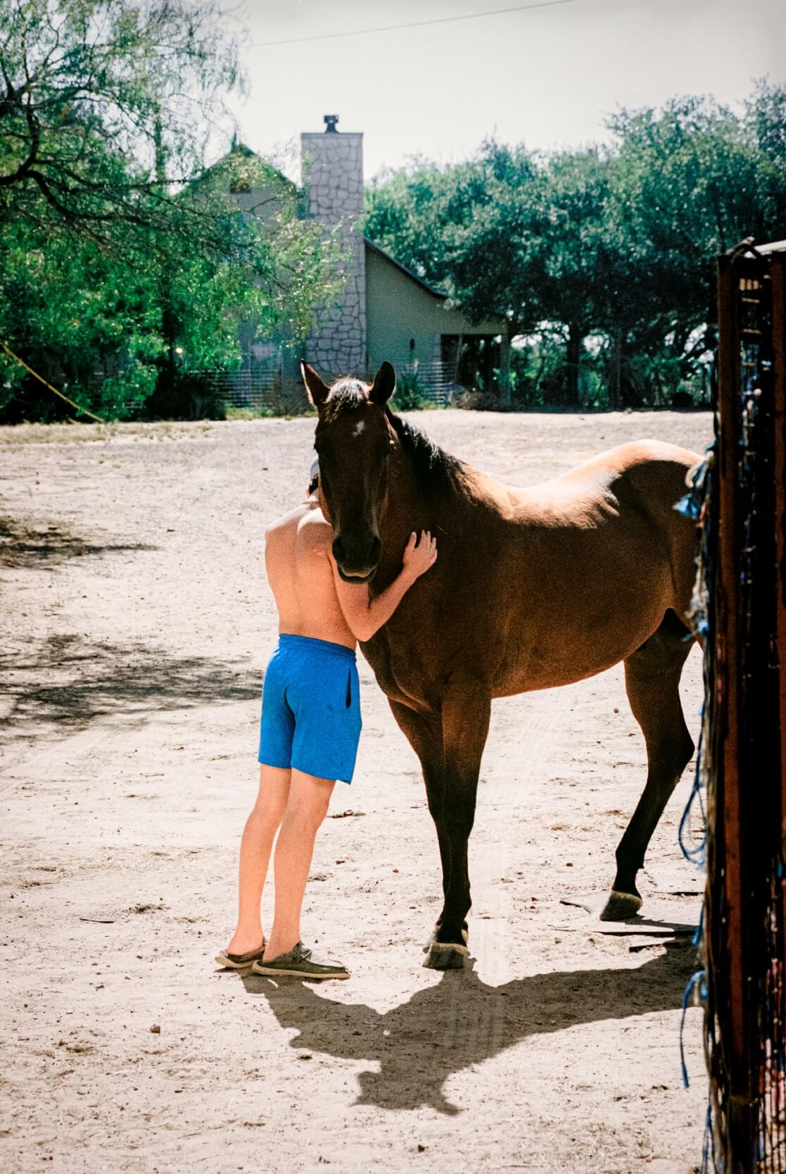 Andrea de Franciscis