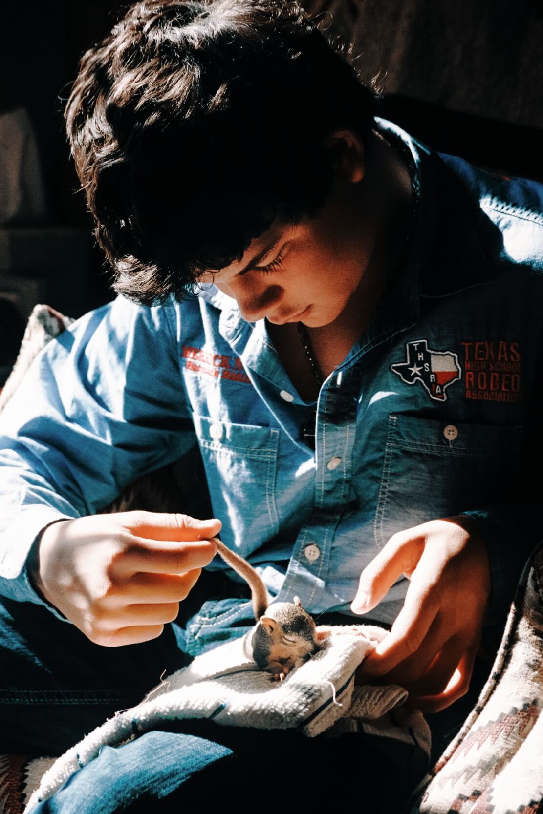 Andrea de Franciscis