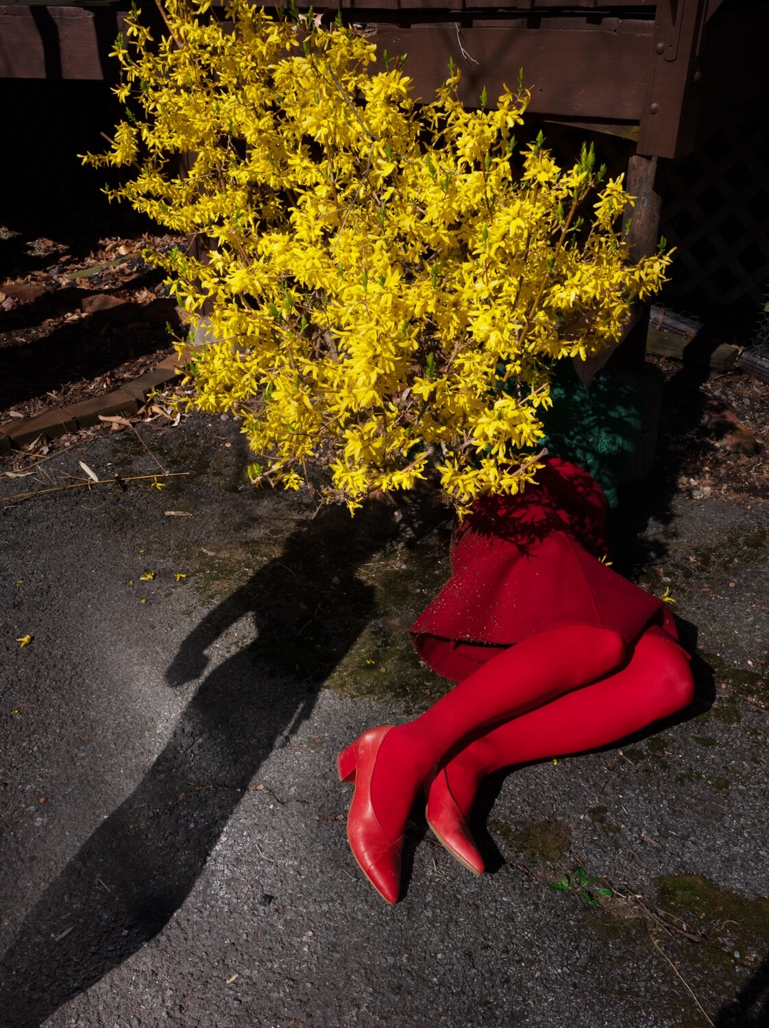 Andrea de Franciscis