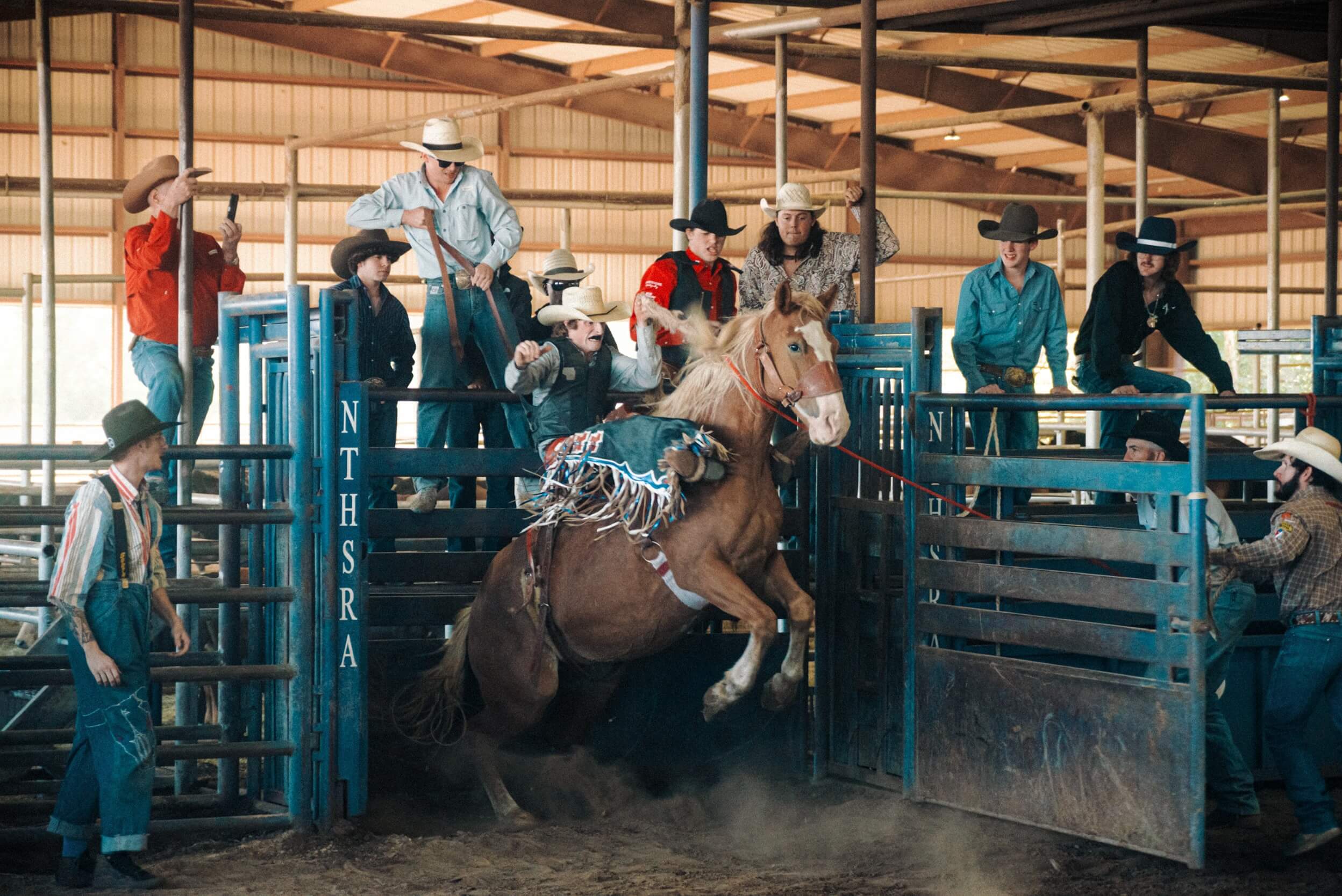 Andrea de Franciscis