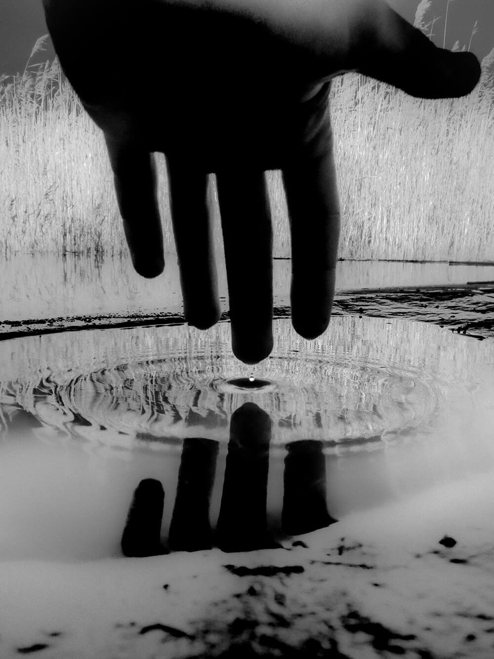 Andrea de Franciscis