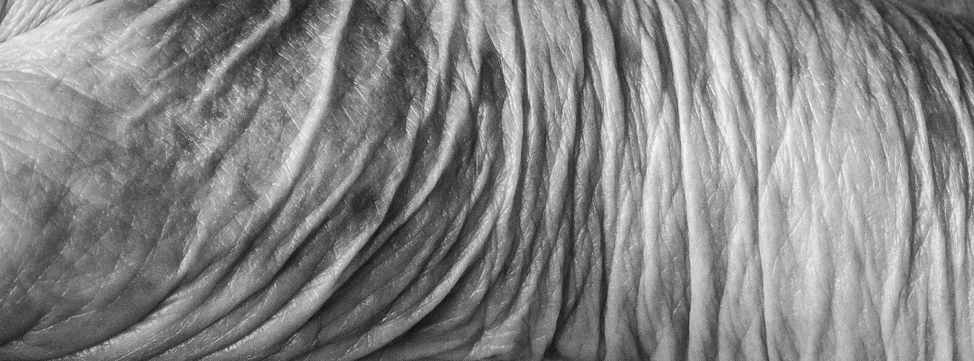 Corine1965