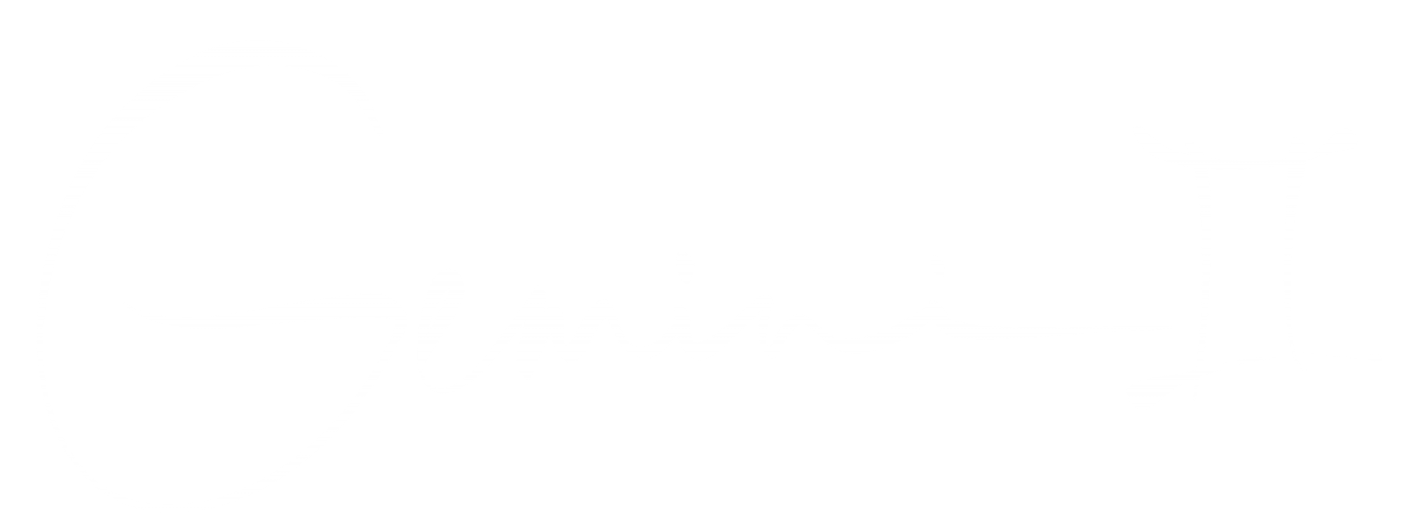 geminidesignatx