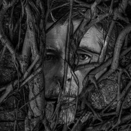 Christopher Sheils