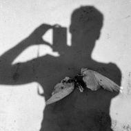 Olivier Bekaert