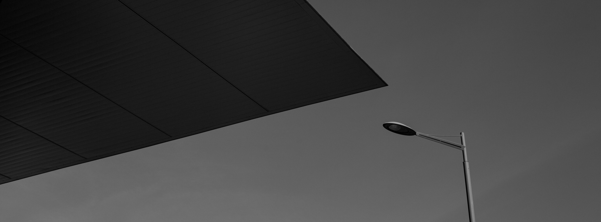 dominici.marco@gmail.com