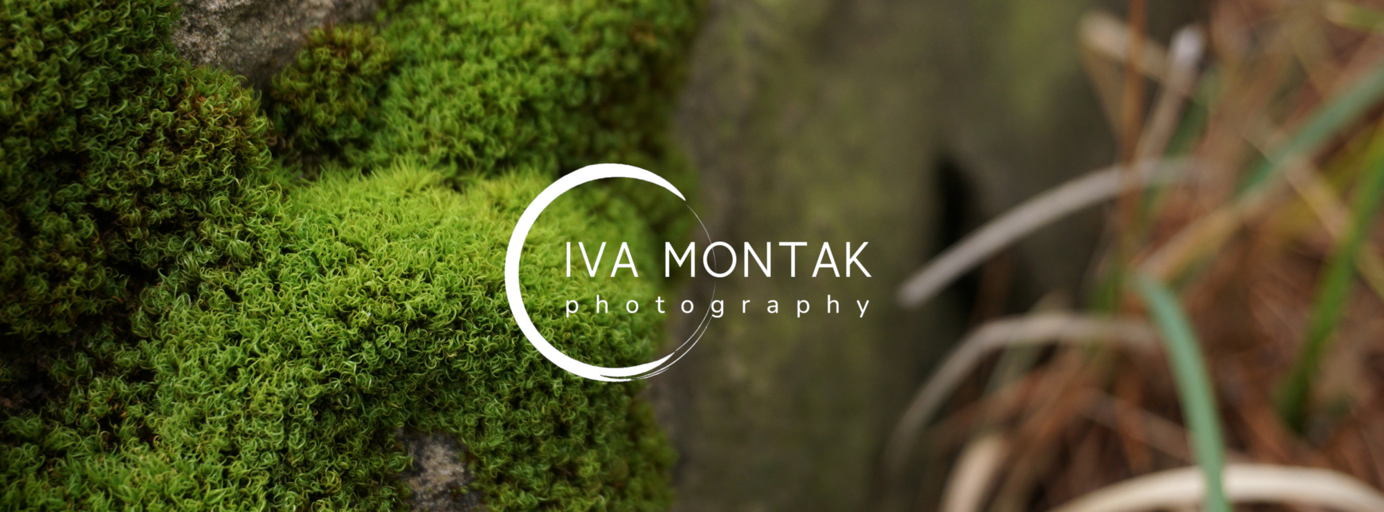 Iva Montak