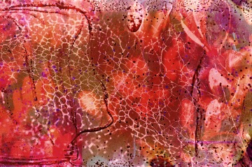 Melissa Lynn | LIFE FRAMER