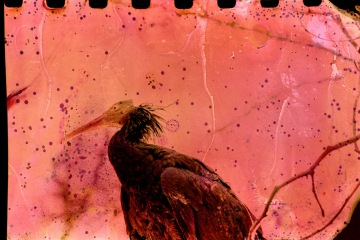 Melissa Lynn | LIFE FRAMER